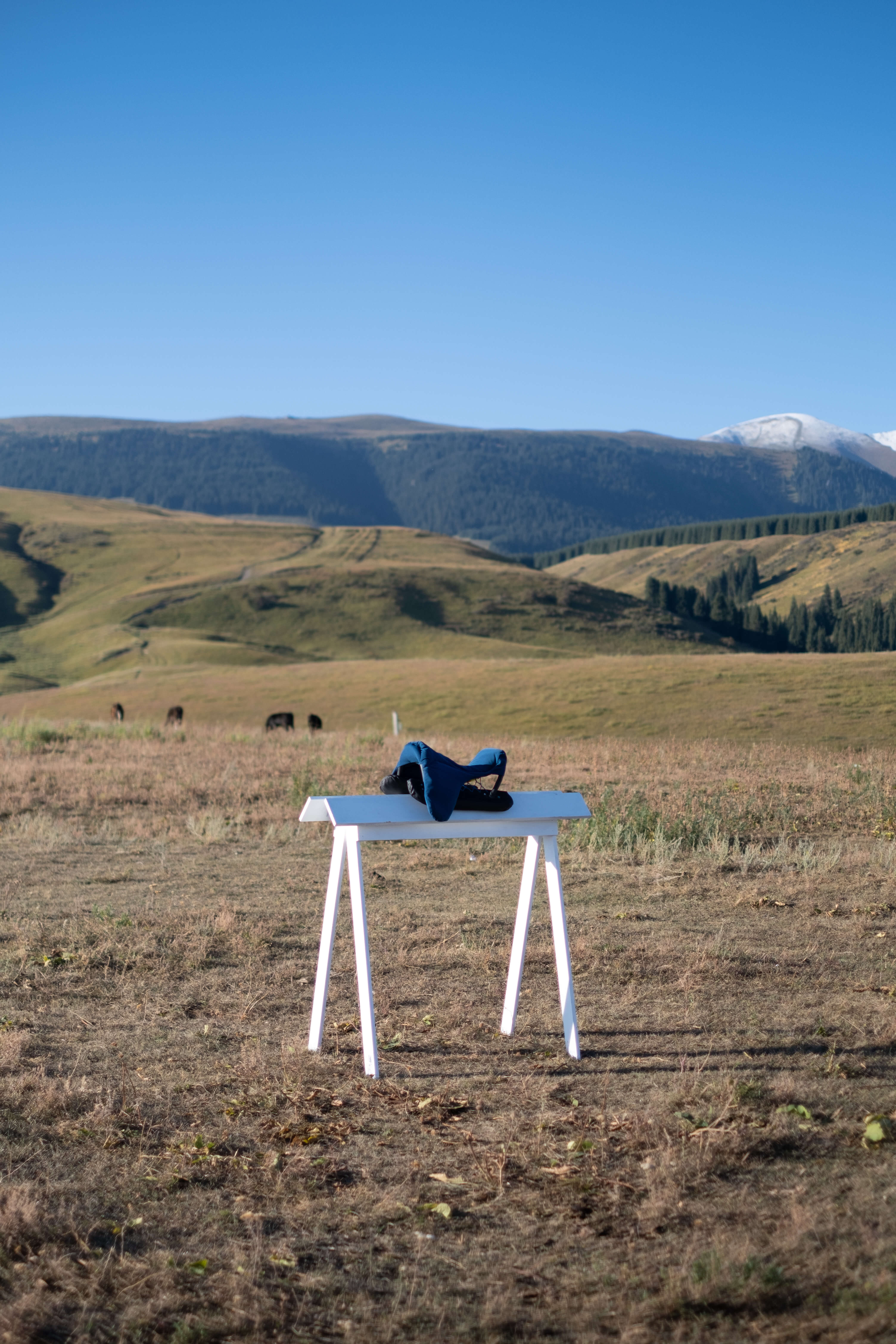 Profiler, Explore: Cross Cultural Chairs Colonization of the act of sitting (Fig. 26)