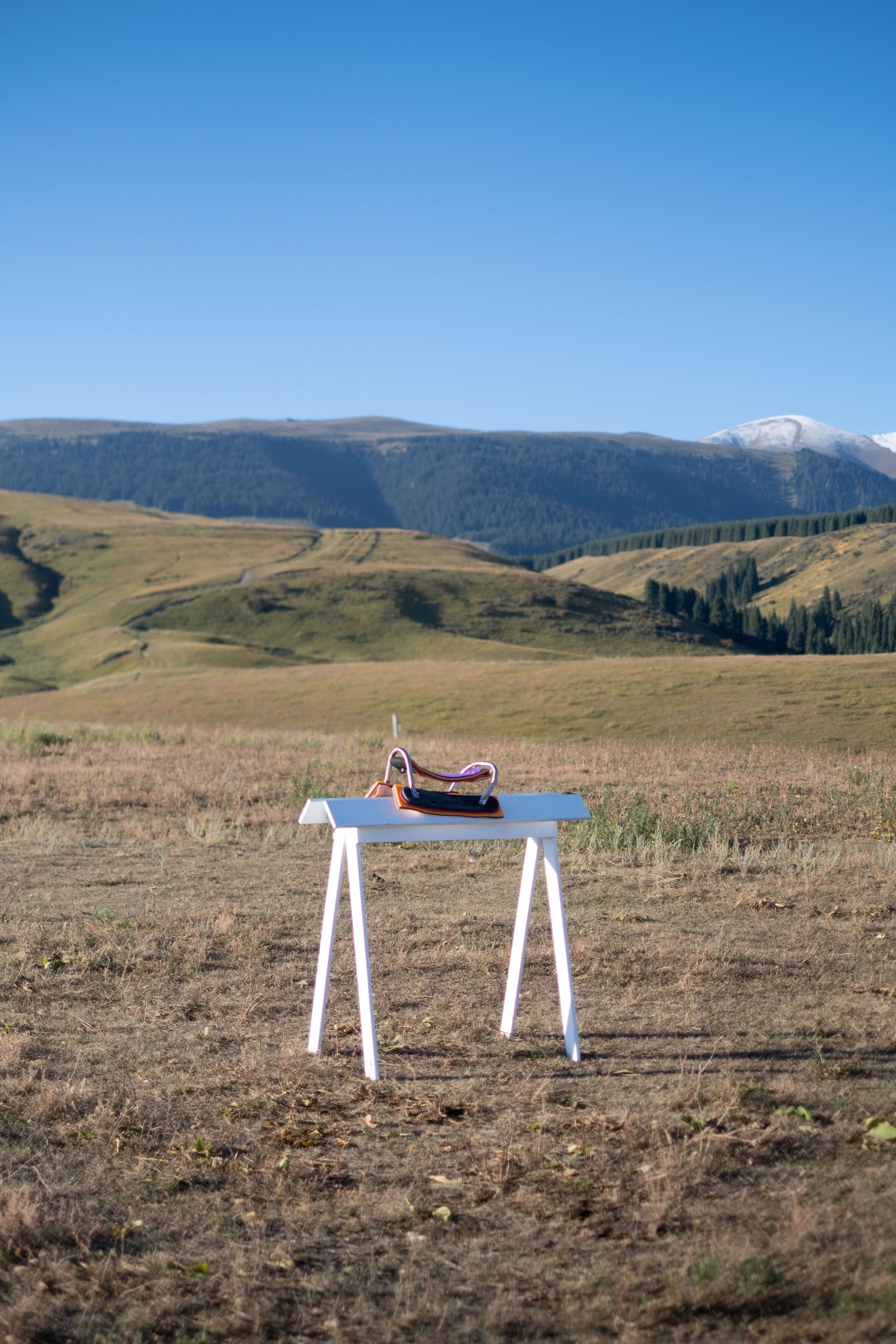 Profiler, Explore: Cross Cultural Chairs Colonization of the act of sitting (Fig. 29)