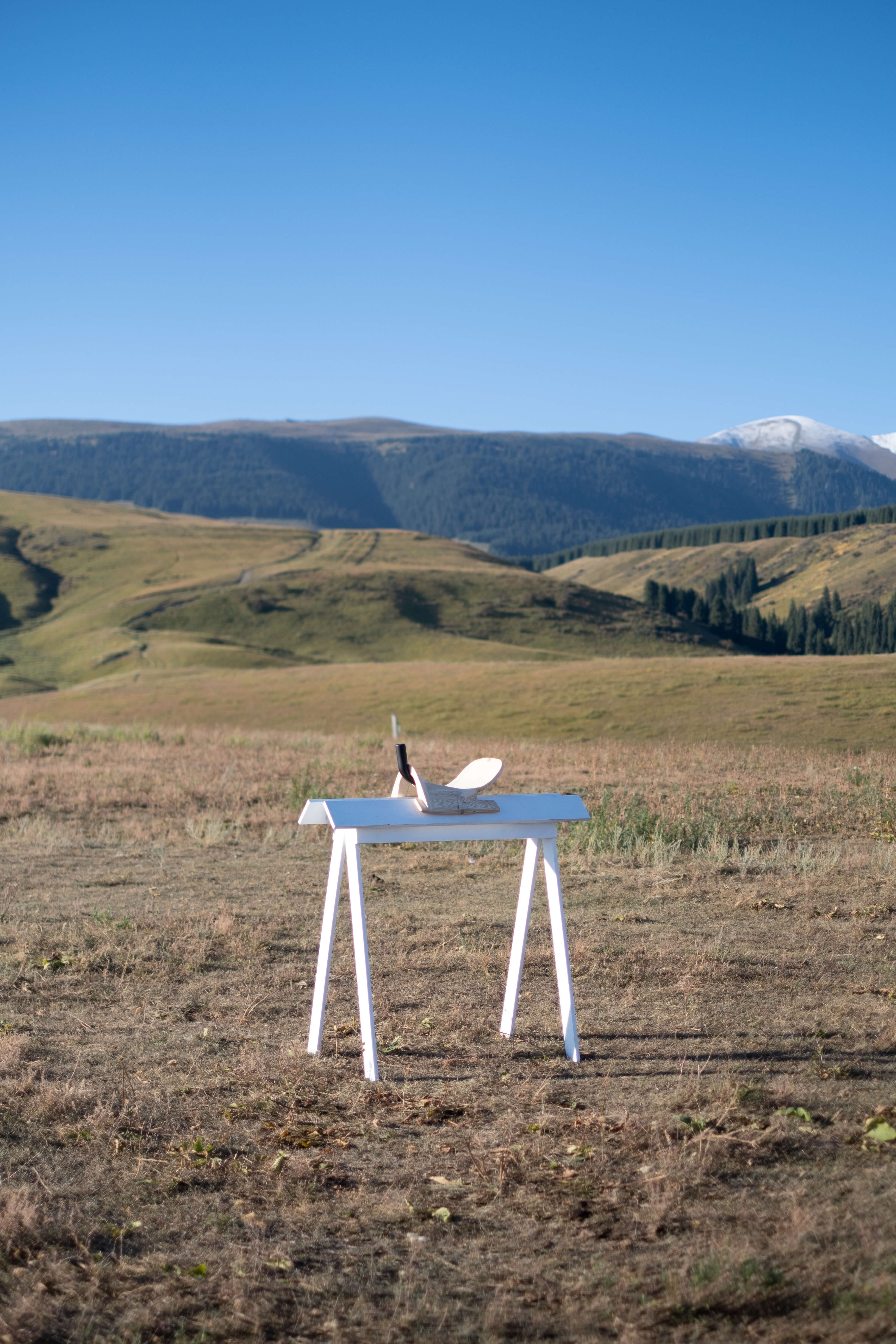 Profiler, Explore: Cross Cultural Chairs Colonization of the act of sitting (Fig. 30)