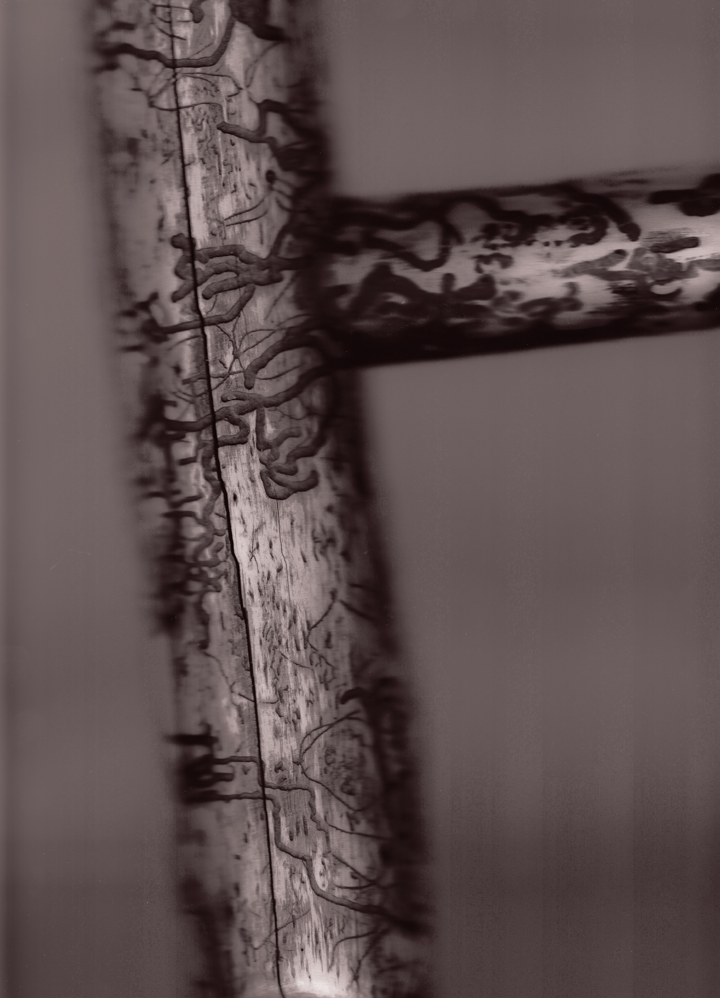 Profiler, Explore: Raw Senses Design & Craft (Fig. 3)