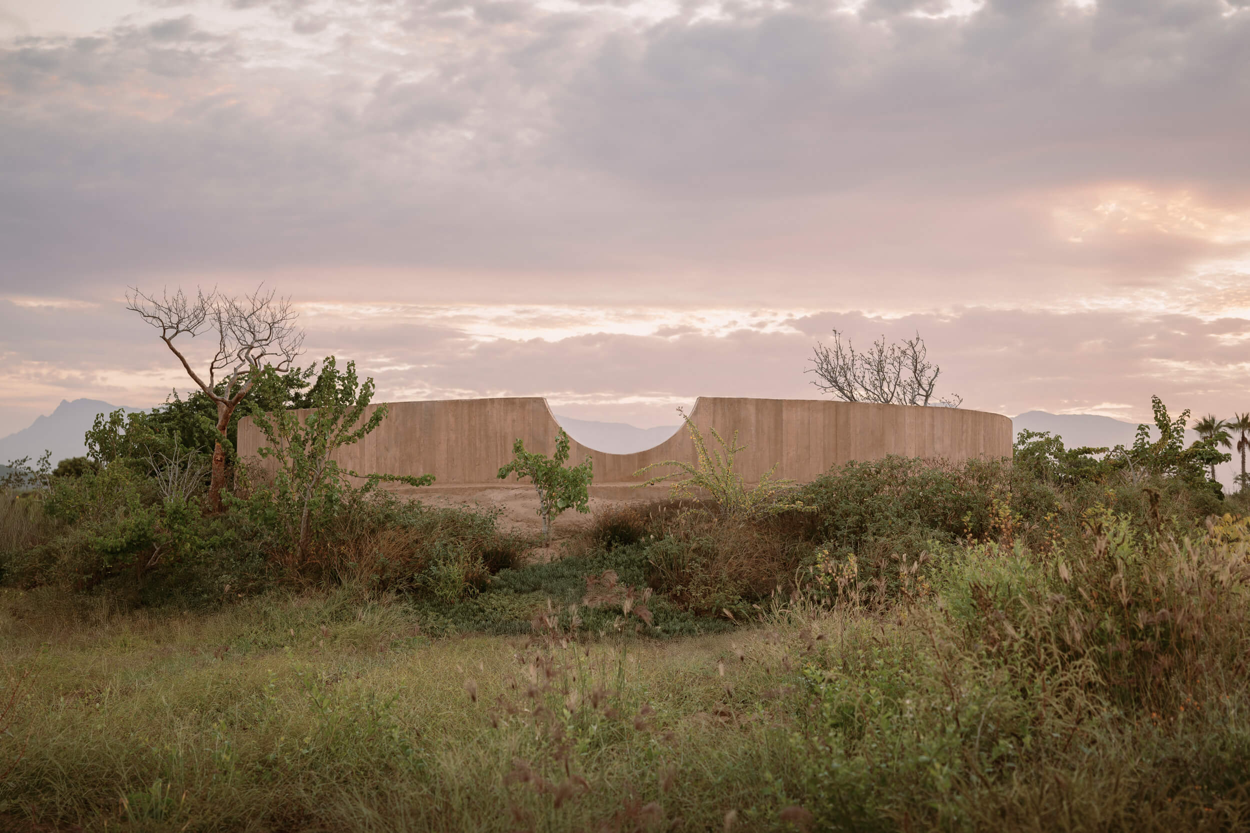 Profiler, Explore: Rubén Valdez Practice for Architecture (Fig. 14)