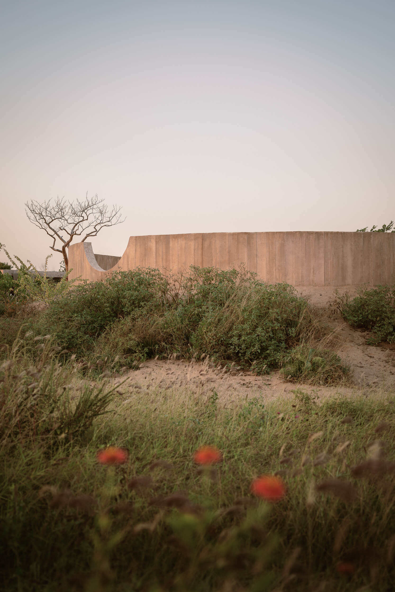 Profiler, Explore: Rubén Valdez Practice for Architecture (Fig. 20)